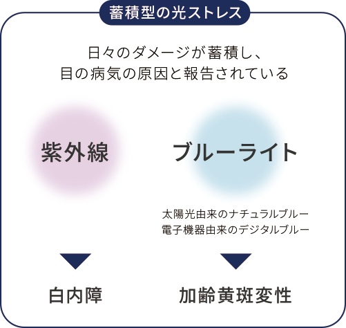 日々のダメージが蓄積し、目の病気の原因と報告されている「紫外線」「ブルーライト」