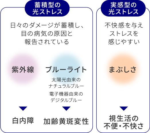 日々のダメージが蓄積し、目の病気の原因と報告されている「紫外線」「ブルーライト」、不快感を与えストレスを感じやすい「まぶしさ」