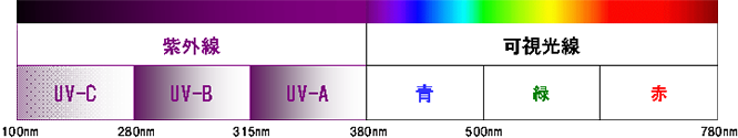 紫外線　UV-C UV-B UV-A　可視光線　青　緑　赤